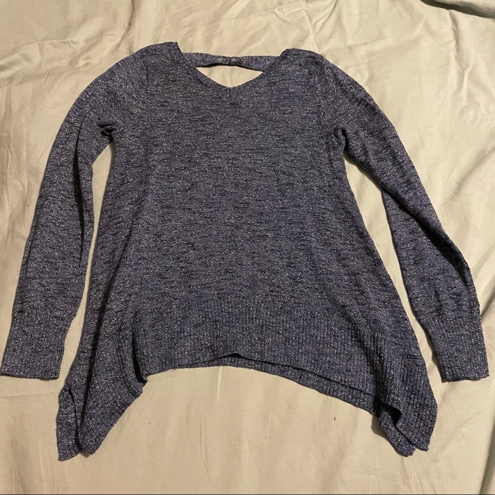 Sally Miller blue sparkly sweater